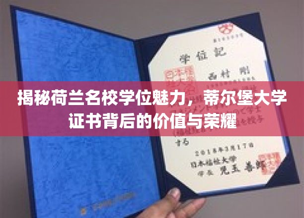 荷兰蒂尔堡大学学位之光，探寻其背后的独特价值与尊贵荣耀