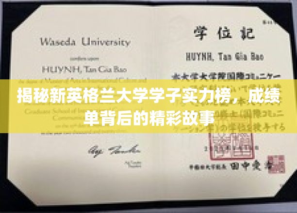 新英格兰大学精英荟萃，探寻学霸背后的不凡人生轨迹