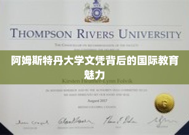 探寻阿姆斯特丹大学文凭背后的全球教育风采