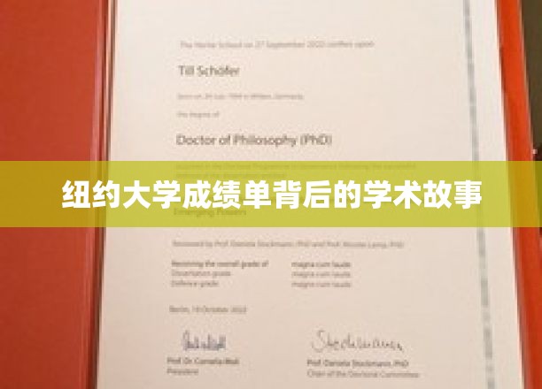 纽约大学成绩单，探寻学子背后的学术传奇
