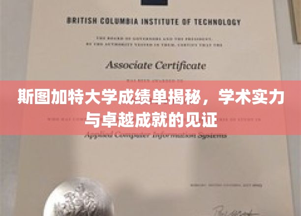 解锁斯图加特大学卓越成就，揭秘成绩单背后的学术辉煌