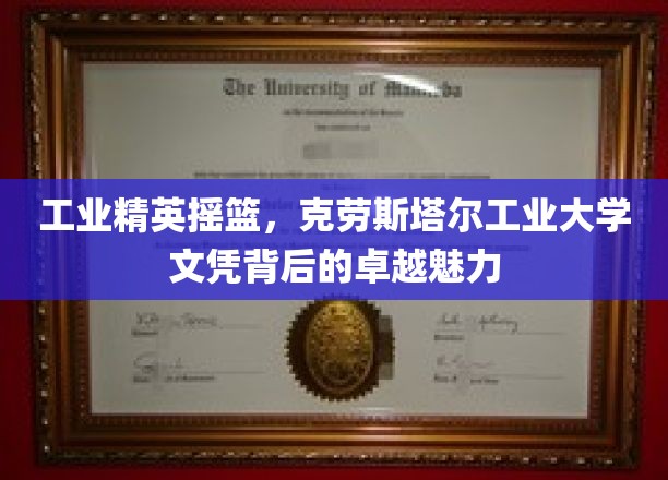 克劳斯塔尔工业大学，成就工业精英的卓越学位之旅