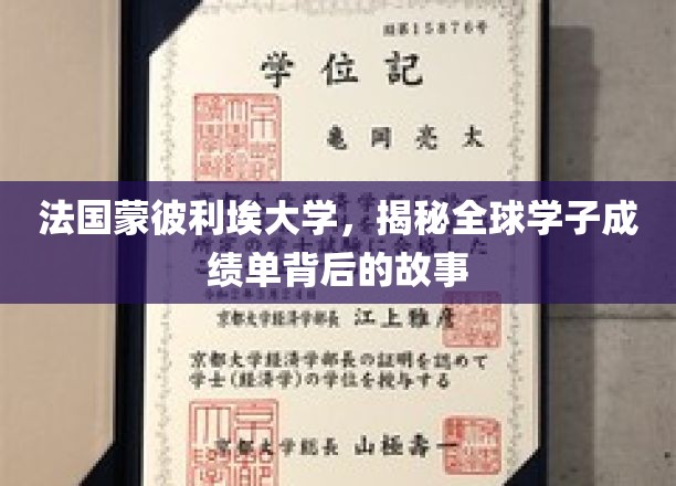 法国蒙彼利埃大学，揭秘全球学子成绩单背后的故事