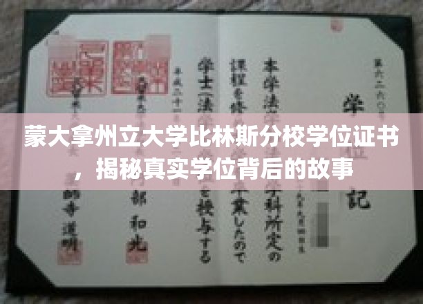 蒙大拿州立大学学位之谜，探寻比林斯分校证书背后的传奇
