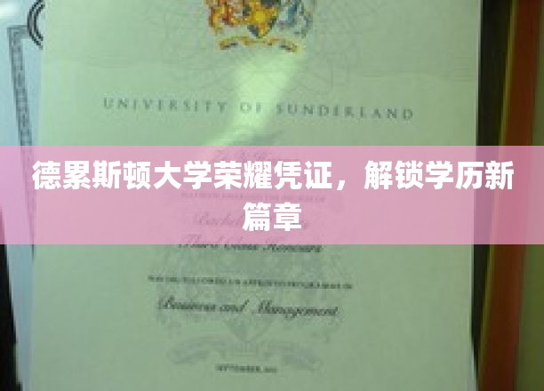德累斯顿大学新证闪耀，开启学历新纪元