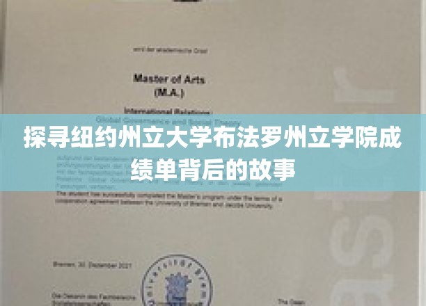 揭秘布法罗学院成绩单背后的教育奥秘