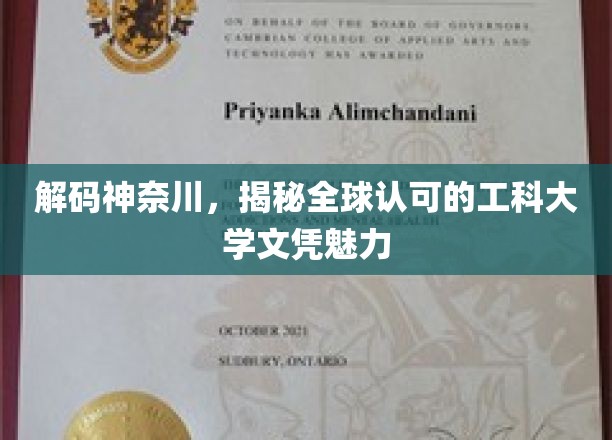 探寻神奈川之魂，揭秘国际认可的工科名校学位之谜