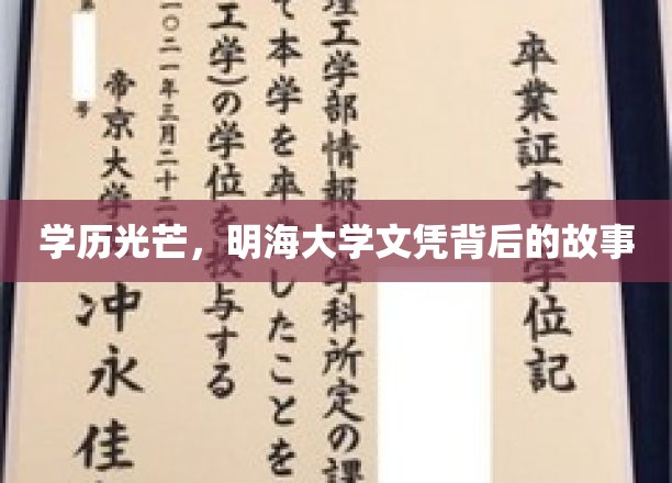 明海荣耀，探寻高学历背后的传奇篇章