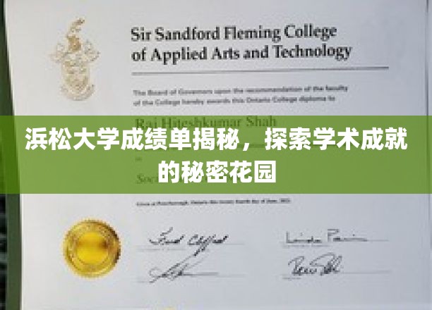 揭秘浜松大学，成绩单背后的学术奇境
