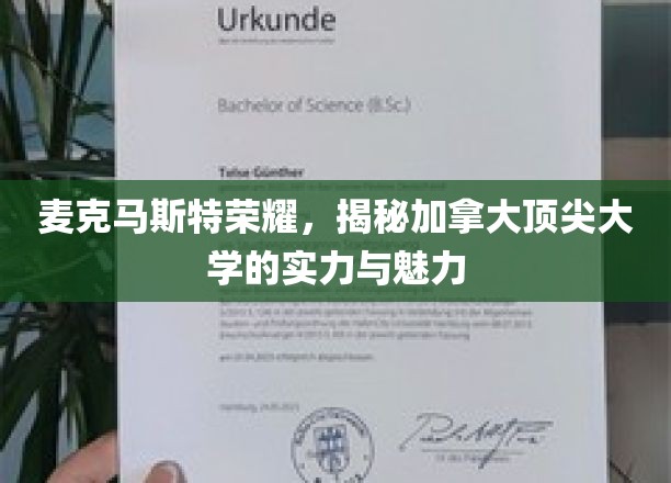 探寻麦克马斯特的荣耀之光，加拿大顶尖大学的魅力之旅