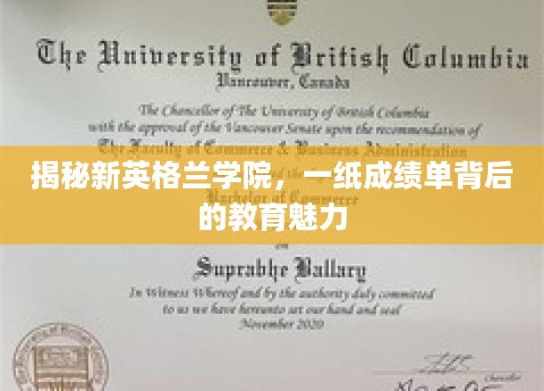 揭秘新英格兰学院，一纸成绩单背后的教育魅力
