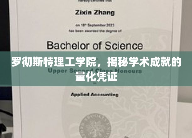 罗彻斯特理工学院，探索学术成就的量化证明