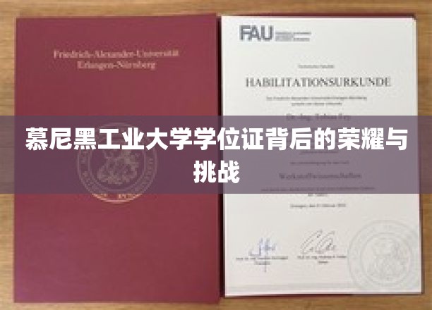 解码慕尼黑工业大学学位证的荣耀之路