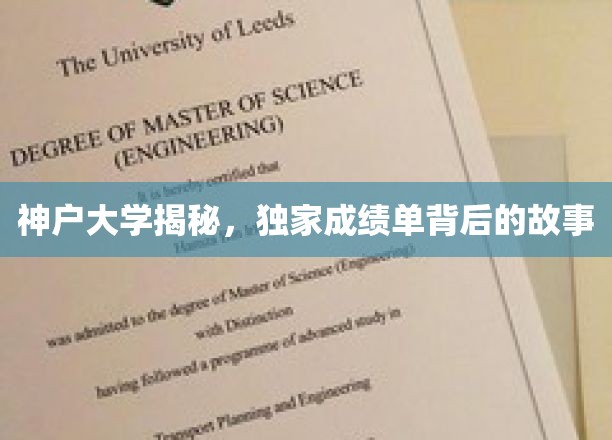 神户大学揭秘，独家成绩单背后的故事