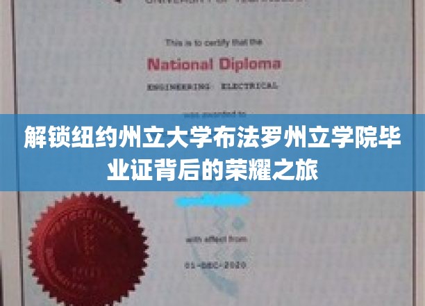 解锁纽约州立大学布法罗分校毕业证背后的荣耀之旅