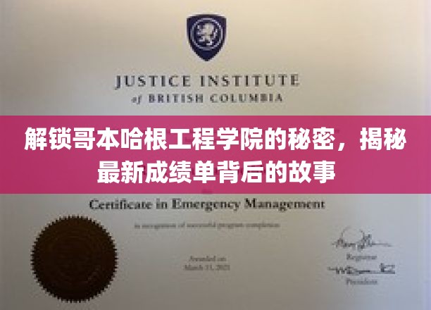 揭开哥本哈根工程学院卓越成绩背后的传奇篇章