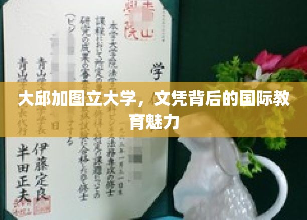 大邱加图立大学，文凭背后的国际教育魅力