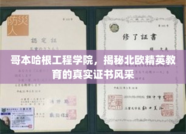 探寻哥本哈根工程学院，北欧精英教育背后的证书魅力