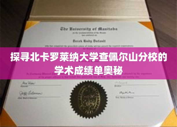 探寻北卡罗莱纳大学查佩尔山分校的学术成绩单奥秘