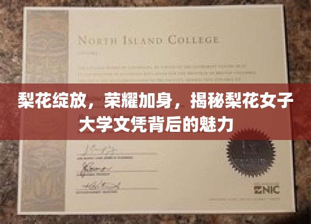 梨花绽放荣耀路，揭秘梨花女子大学文凭的独特魅力