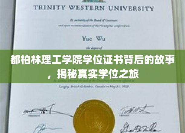 解码都柏林理工学院学位证书，一场真实而精彩的学术旅程揭秘