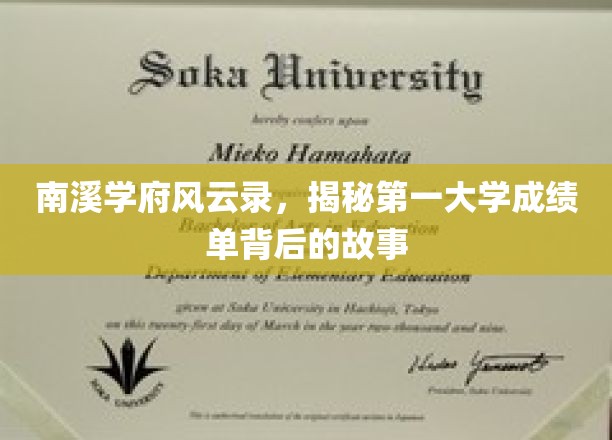解码南溪学府传奇，揭秘顶尖学府成绩单背后的精彩篇章
