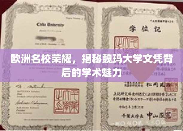 欧洲名校荣耀，揭秘魏玛大学文凭背后的学术魅力