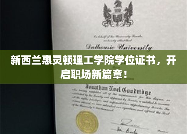 惠灵顿理工学院学位通行证，助力你的职业生涯飞跃