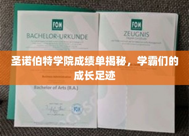 解码圣诺伯特学霸圈，揭秘成绩单背后的成长轨迹
