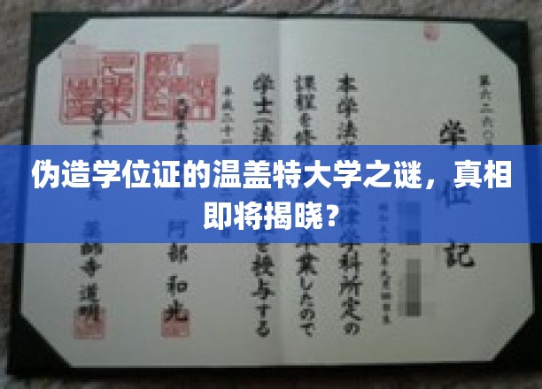 揭秘伪造学位证的温盖特大学之谜，真相即将揭晓？