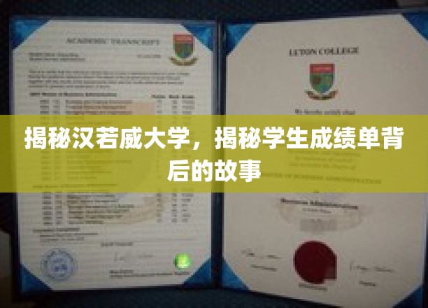 一探究竟：汉诺威大学，揭秘学生成绩单背后的故事