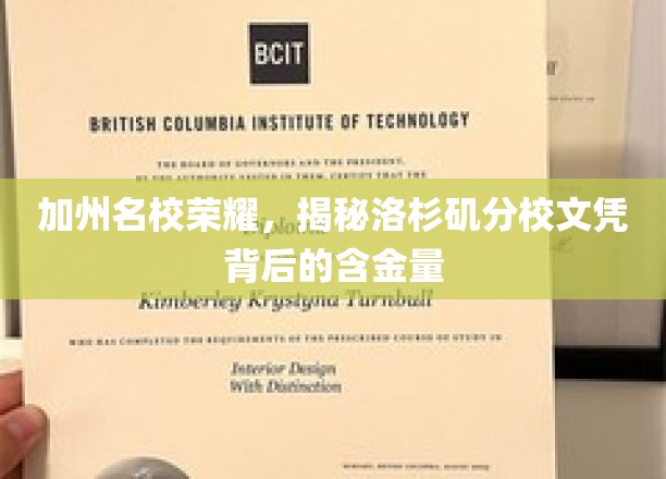 洛杉矶分校光环，解码加州名校文凭的珍贵价值