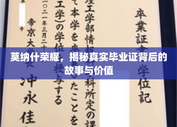 莫纳什荣耀，揭秘真实毕业证背后的故事与价值