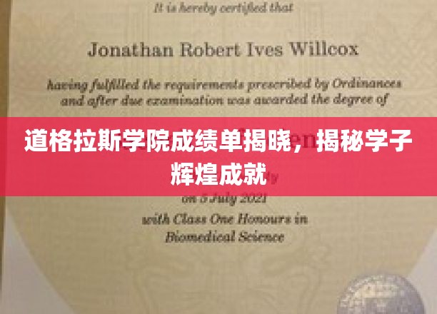 道格拉斯学子荣耀榜，揭秘卓越成绩背后的青春足迹