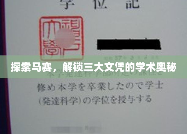 马赛之旅，探寻三大文凭背后的学术传奇