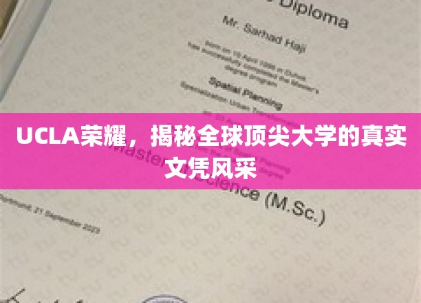 UCLA风采独领风骚，探秘世界顶级学府的文凭魅力