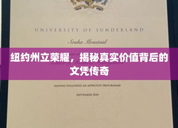 纽约州立荣耀，揭示文凭背后的真实价值