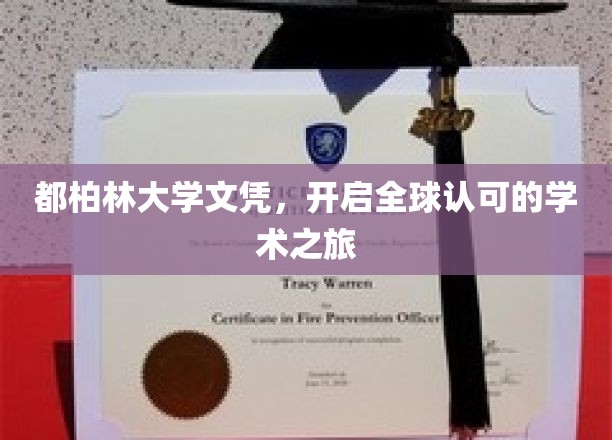 跨越国界，都柏林大学文凭引领国际学术新篇章