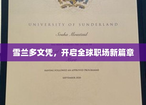 雪兰多教育革新，引领国际职场未来潮流