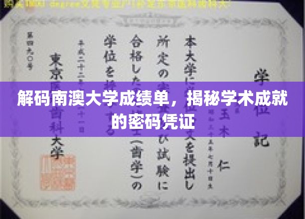 南澳大学成绩单背后的学术密码揭秘