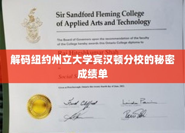 解锁宾汉顿分校，一探究竟的秘密成绩单揭秘记