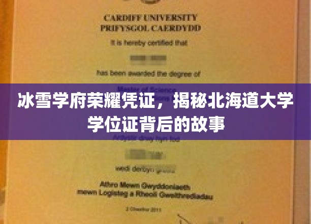 北海道大学学位证，探寻冰雪学府的荣耀传承之路