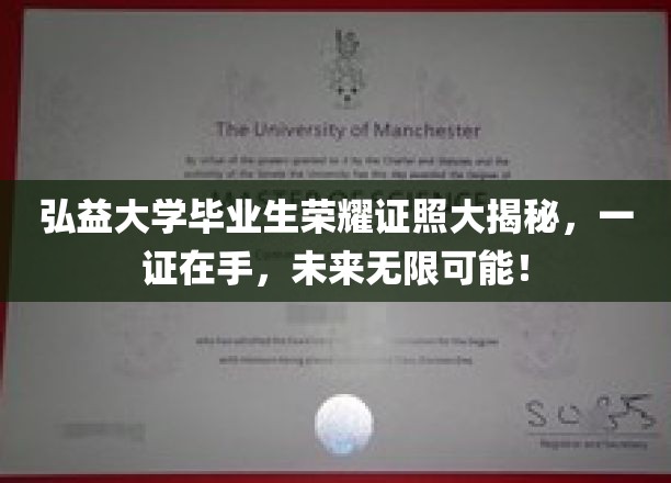 弘益大学毕业生荣耀证照大揭秘，一证在手，未来无限可能！