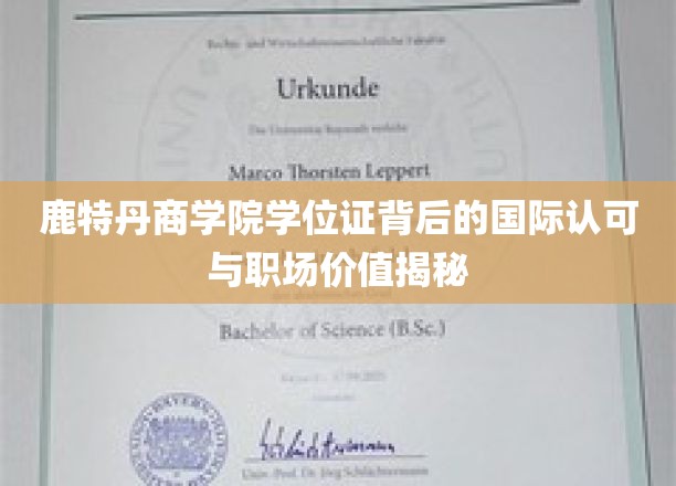 鹿特丹商学院学位证背后的国际认可与职场价值解读
