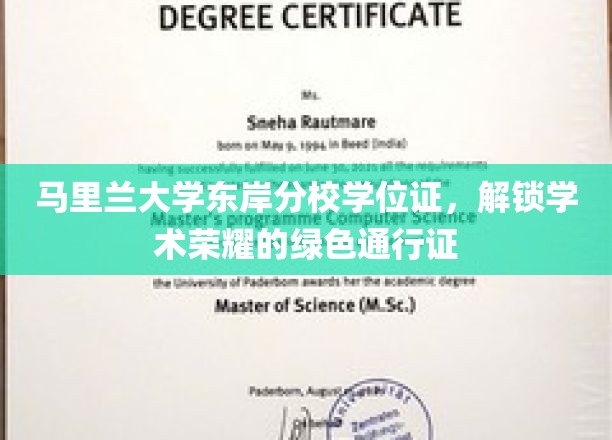 马里兰大学东岸分校学位证，开启学术巅峰的绿钥匙