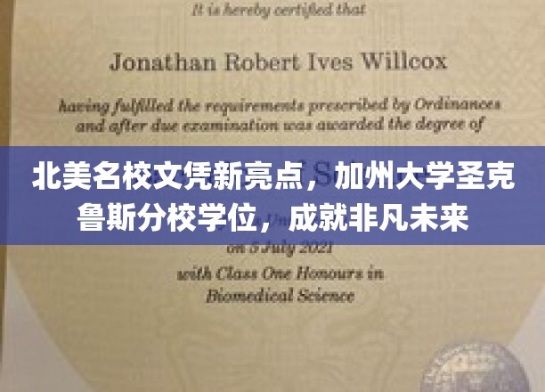 加州大学圣克鲁斯分校学位，开启北美精英教育新篇章