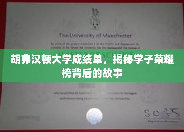 胡弗汉顿荣耀榜揭秘，揭秘学子成就背后的成长轨迹
