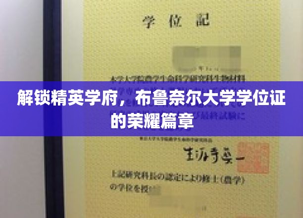 布鲁奈尔辉煌之路，揭秘精英学府的学位证荣耀故事