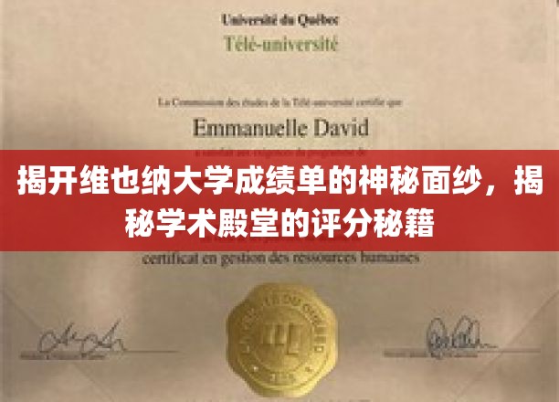 探秘维也纳大学成绩单，一窥欧洲学术明珠的评分奥秘