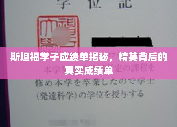 斯坦福学霸背后的真实成绩单曝光，揭秘精英成长的秘密武器